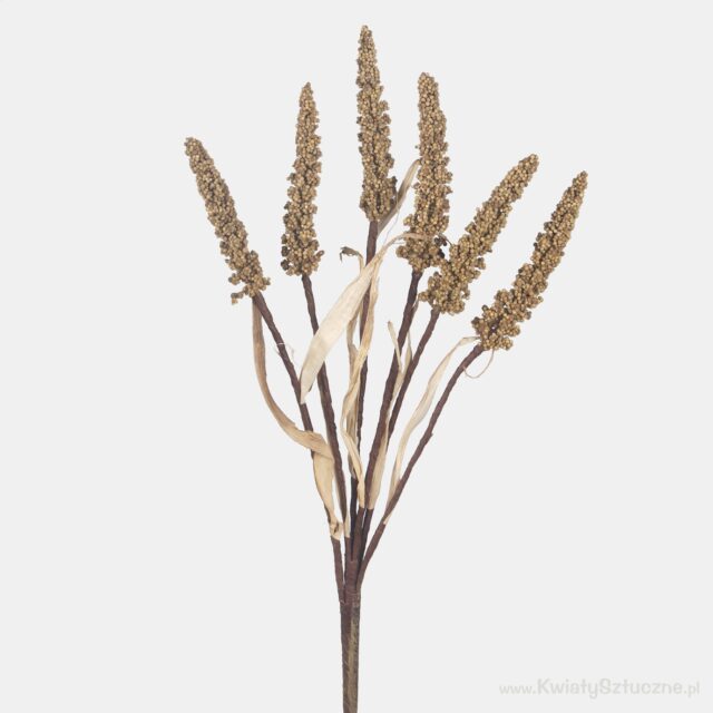 Syksynbeige setaria-tekokasvi, 63 cm