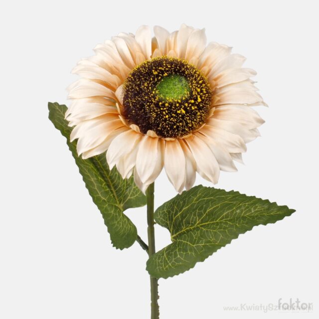 Autumn Cream -sävyinen auringonkukka-tekokukka, 60 cm