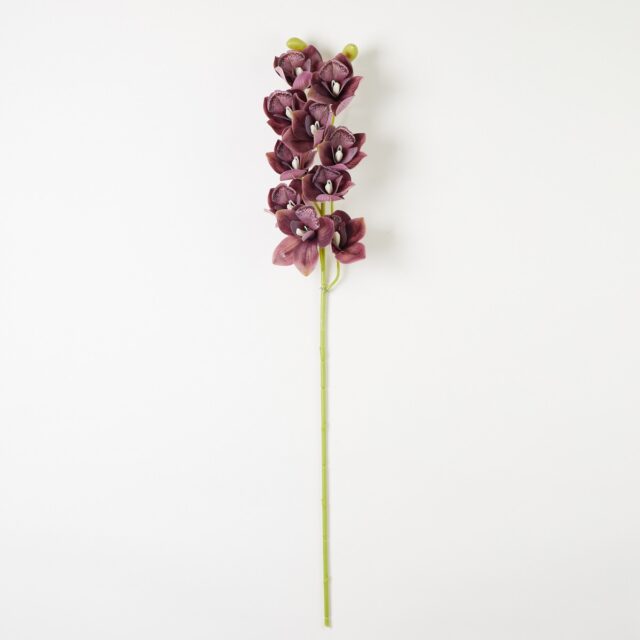 Burgundinpunainen Cymbidium-tekokukkaoksa