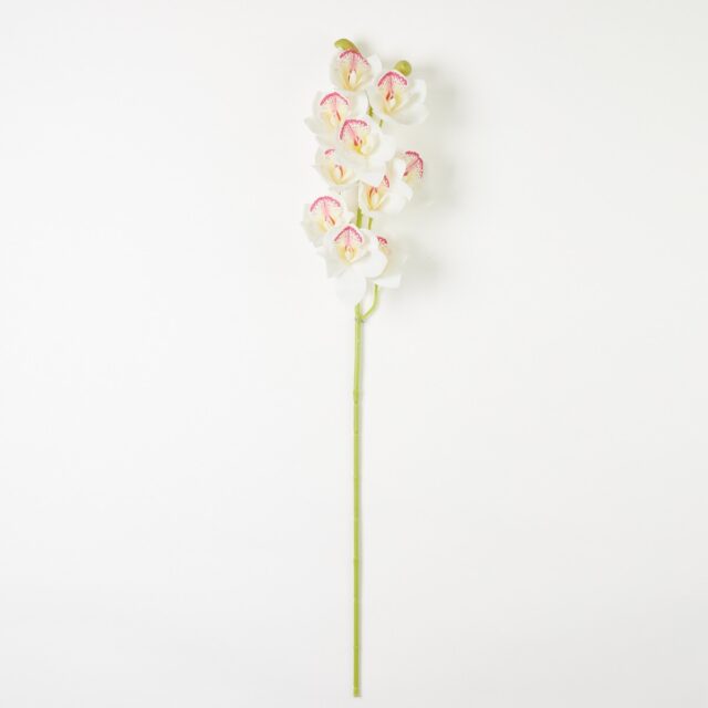 Valko-vaaleanpunainen silikoninen cymbidium-tekokukkaoksa