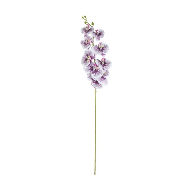 Kermainen violettipilkullinen tekokukkaorkidean oksa
