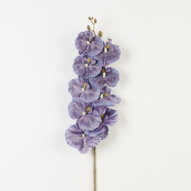 Violetti tekokukkaorkidean oksa
