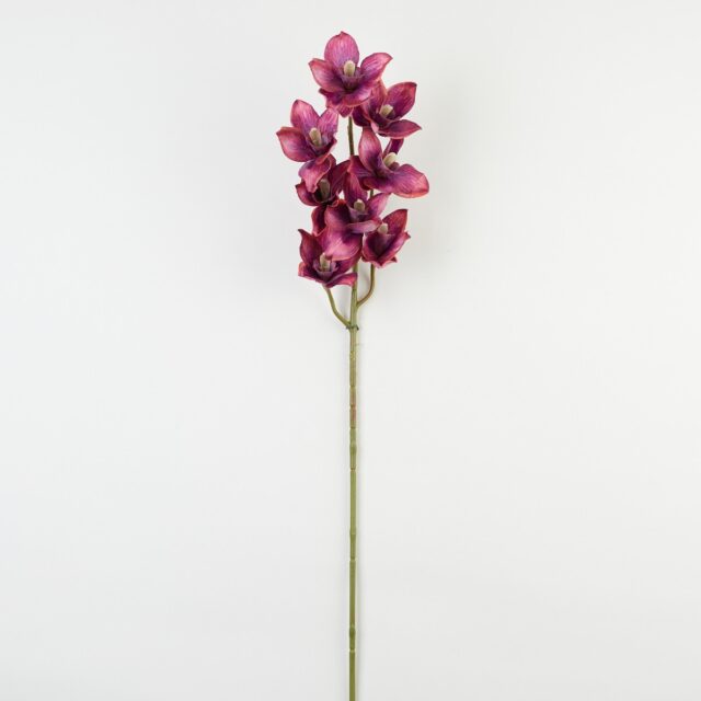 Violetti tekokukkaorkidean oksa