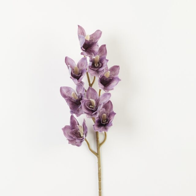 Violetti tekokukkaorkidean oksa