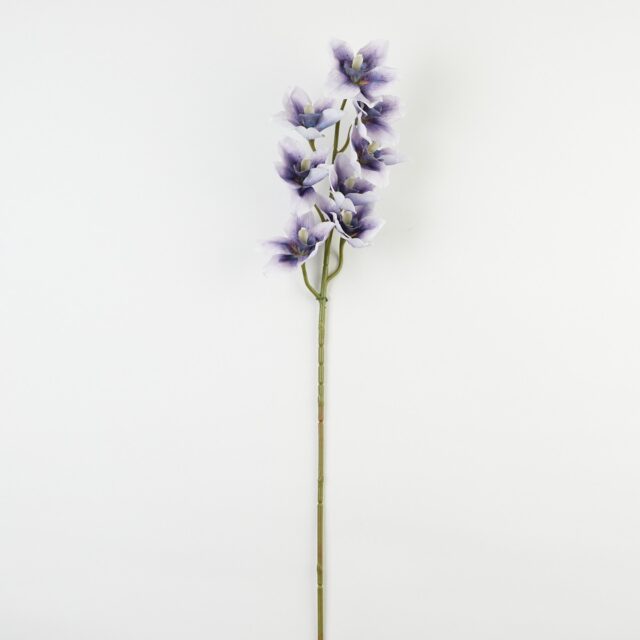 Vaalea violetti tekokukkaorkidean oksa