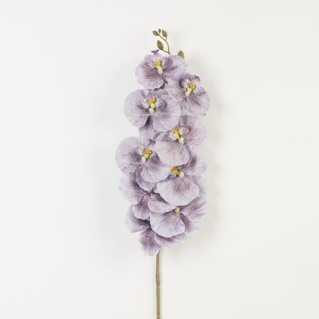 Violetti tekokukkaorkidean oksa