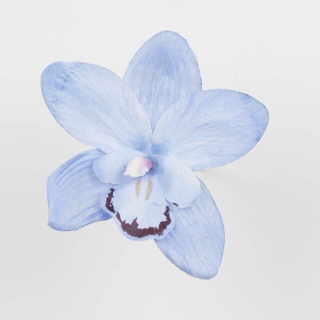 Violetti tekokukkaorkidean kukkapää