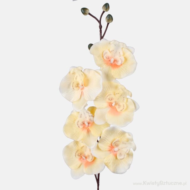 Vaaleankeltainen satiiniorkidea tekokukkana, 80 cm