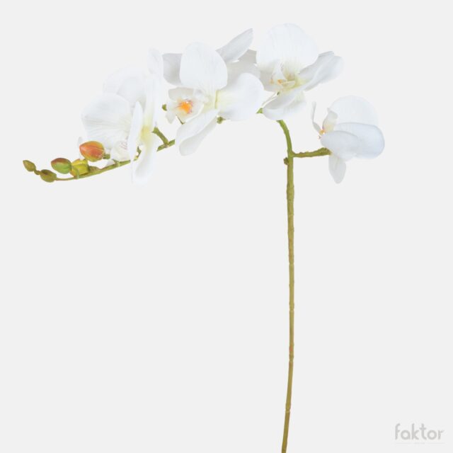 Valkoinen orkidea tekokukka varrella, 79 cm
