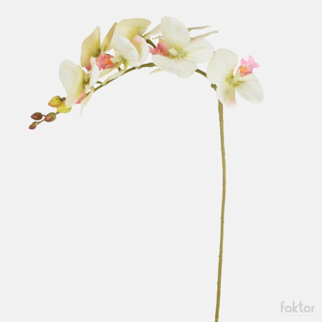 Vaaleanvihreä orkidea-tekokukka 79 cm