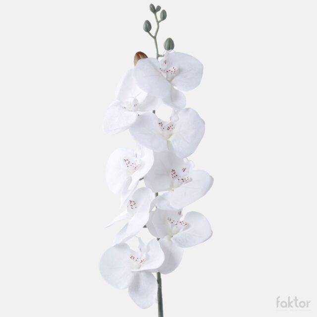 Valkoinen orkidea tekokukka 91 cm