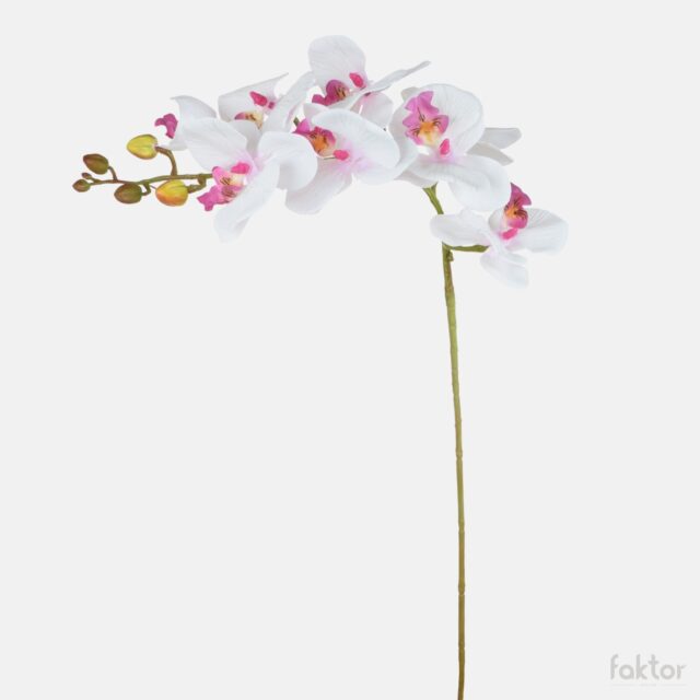 Valko-violetti tekokukkaorkidea 79 cm
