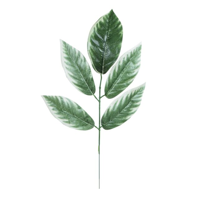 Vihreä-valkoinen euonymuksen tekokasvin lehtioksa