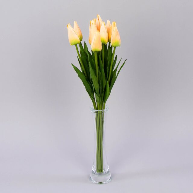 Vaaleankeltainen ja vaaleanpunainen tekotulppaanioksa