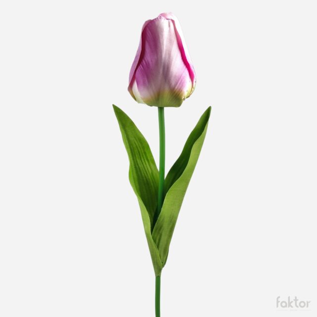 Liila–kermanvärinen–vihreä tekotulppaani