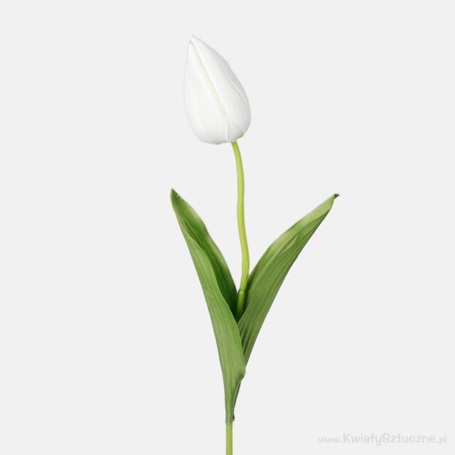 Kermanvärinen tekotulppaani 50 cm