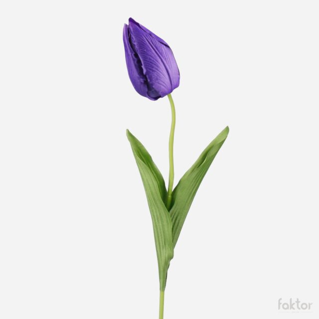 Violetti tekotulppaani 50 cm