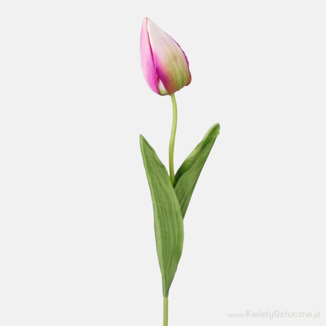 Lilan, kerman ja vihreän sävyinen tekotulppaani