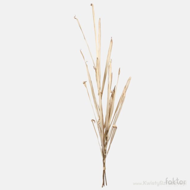 Beige tekokukkaoksa syysheinää, 100 cm