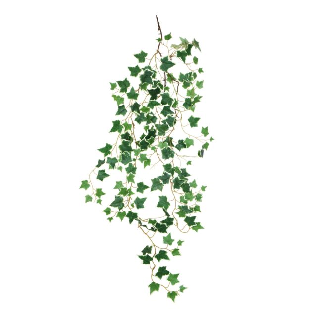 Valkoreunainen vihreä tekokasviköynnös 120 cm