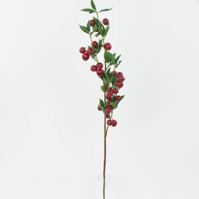 Punainen tekokirsikan oksa vihreillä lehdillä ja marjoilla, 98 cm