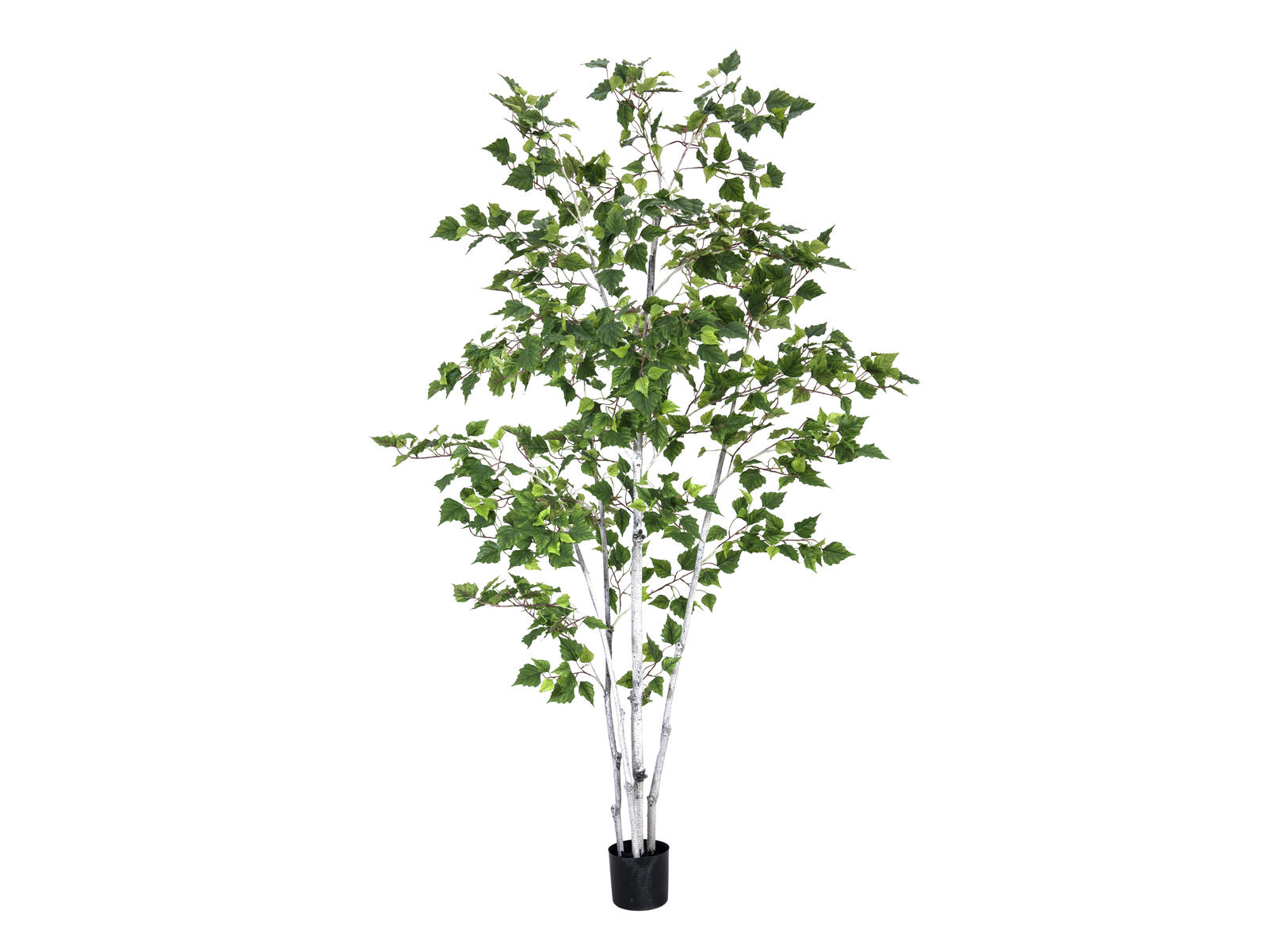 Vihreä 210 cm korkea tekokoivu puutarharuukussa