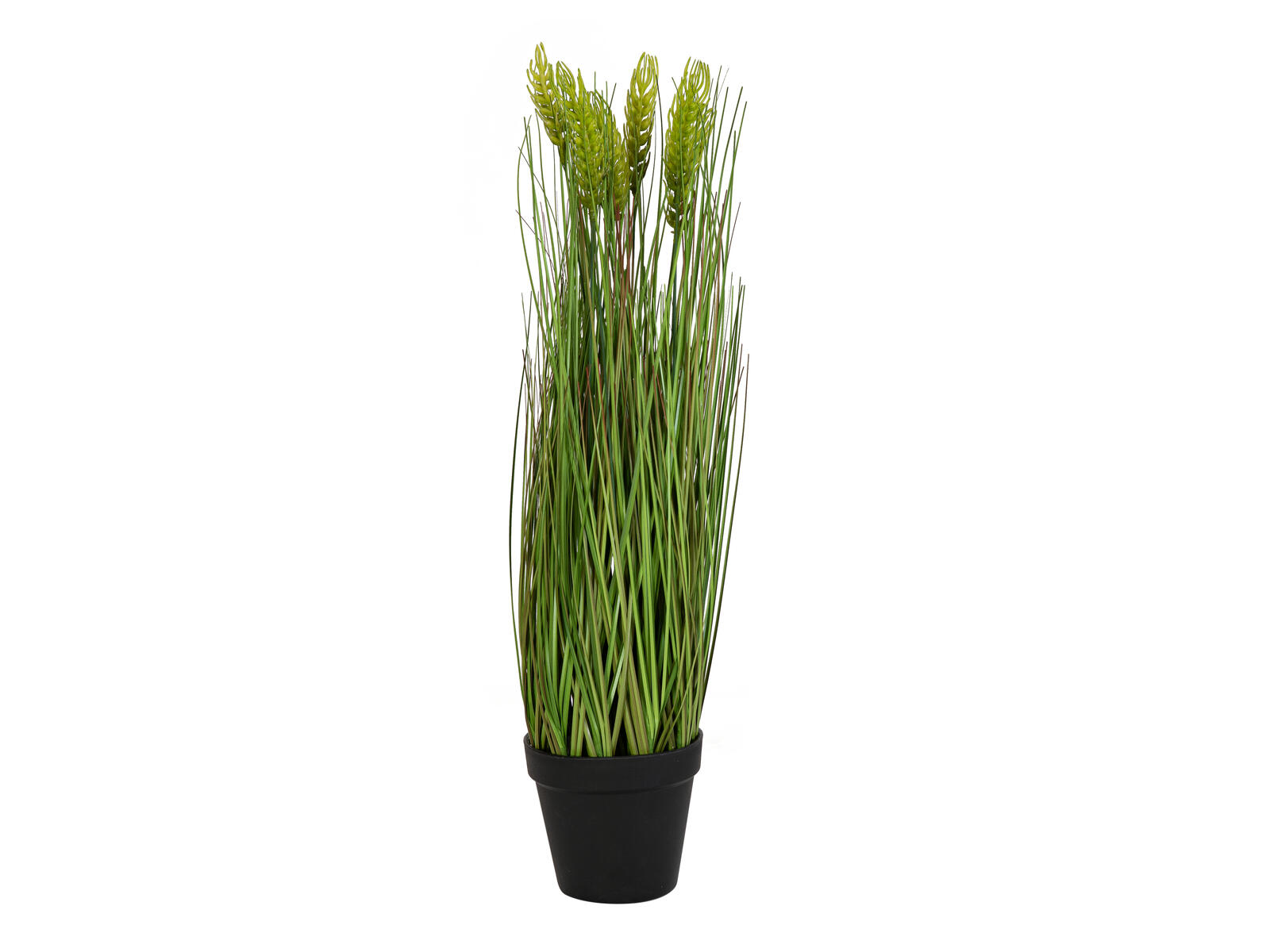 60 cm korkea vaaleanvihreä tekovehnä mustassa ruukussa