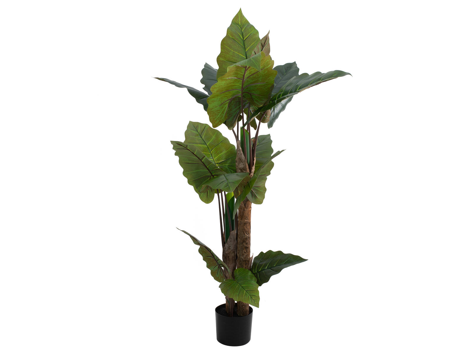 Tummanvihreä alokasia-tekokasvi ruukussa, 140 cm