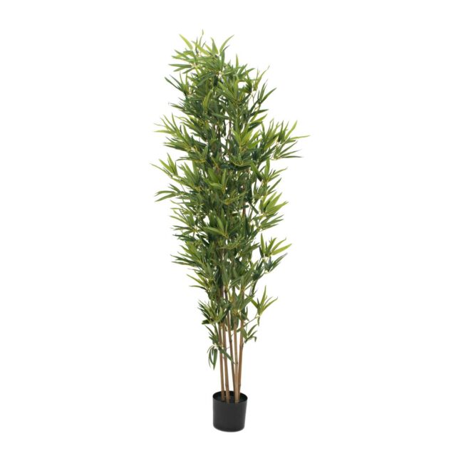 180 cm korkea vihreä bambu-tekopuu mustassa ruukussa