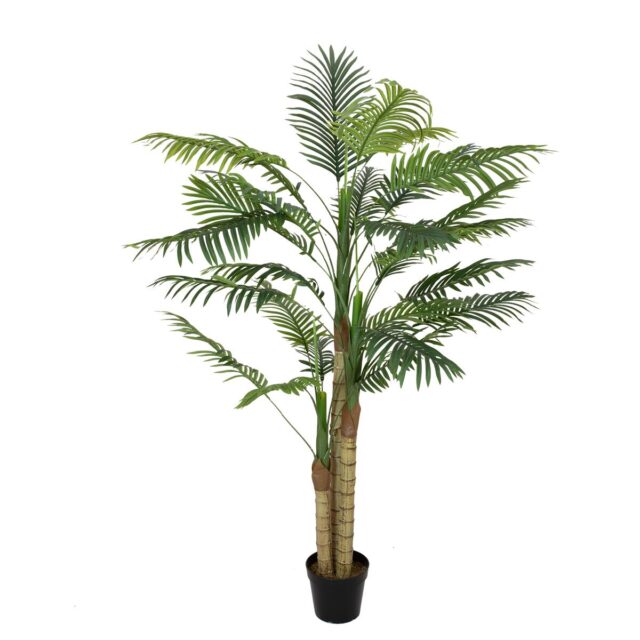Vihreä areca-tekopalmu kolmella rungolla, 150 cm
