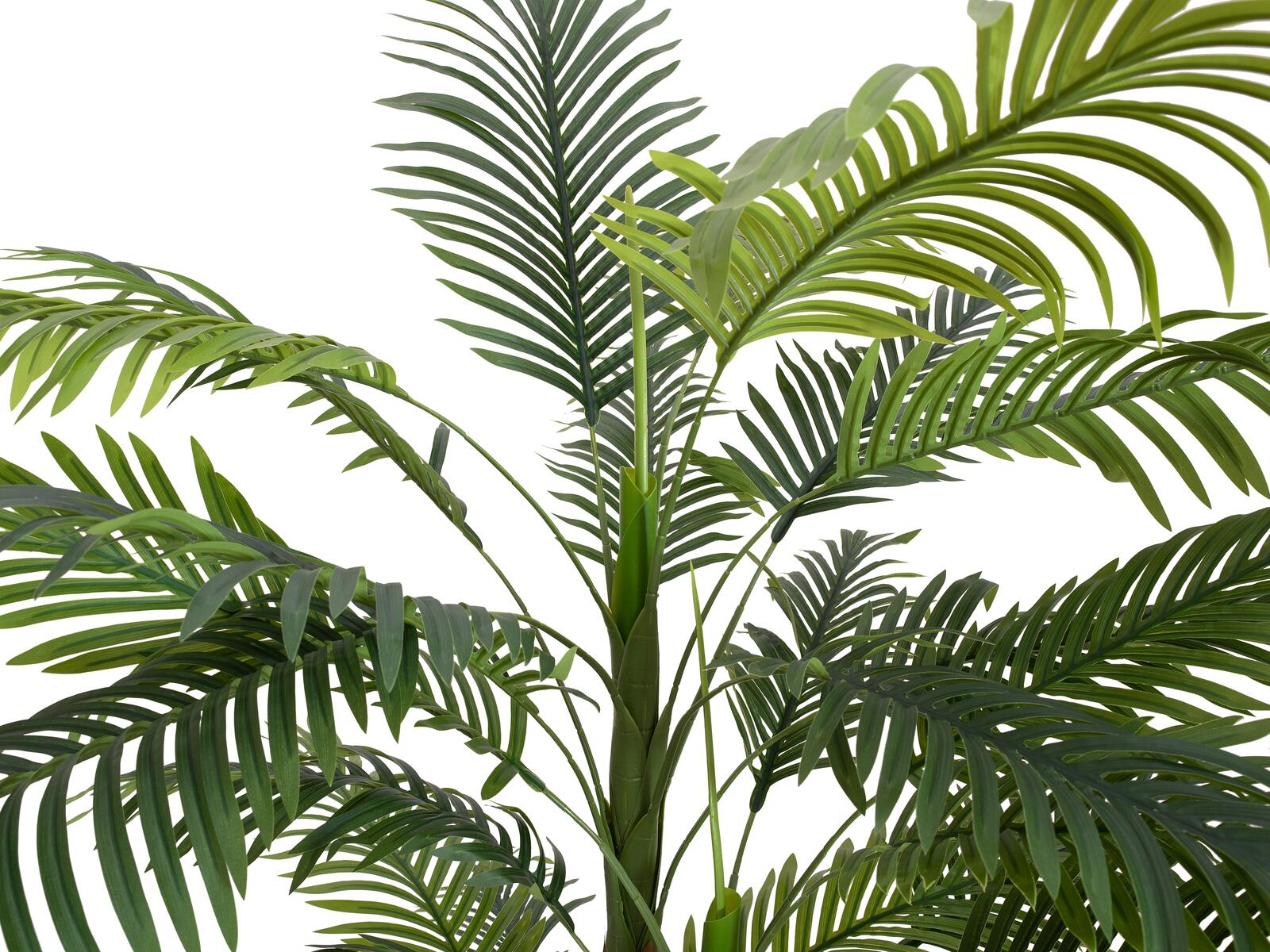 Vihreä areca-tekopalmu kolmella rungolla, 150 cm