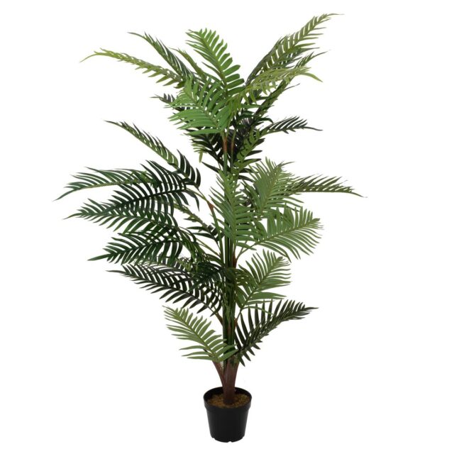 Vihreä Areca-tekopalmu mustassa ruukussa, 150 cm