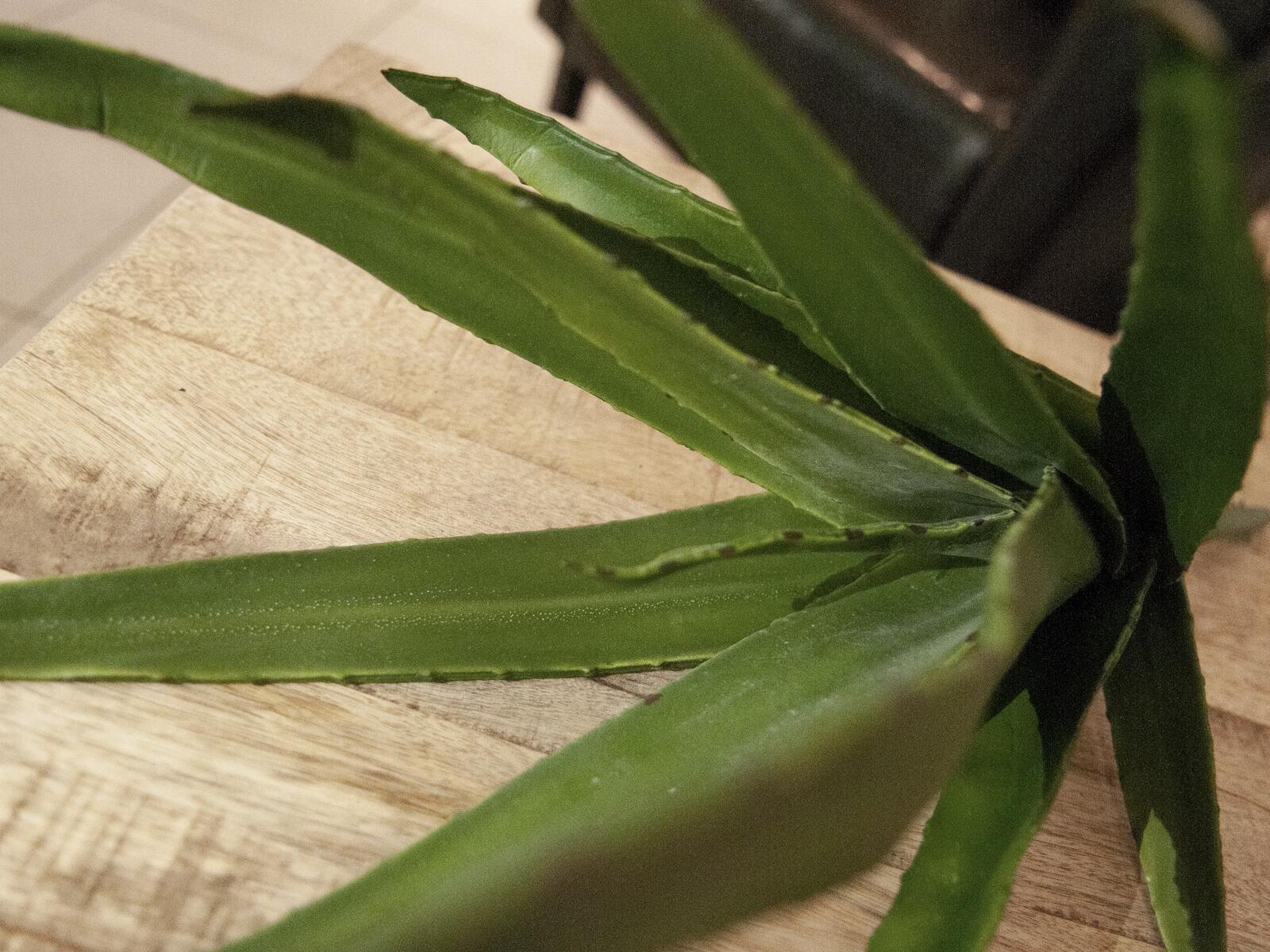 Vihreä aloe-tekokasvi 50 cm