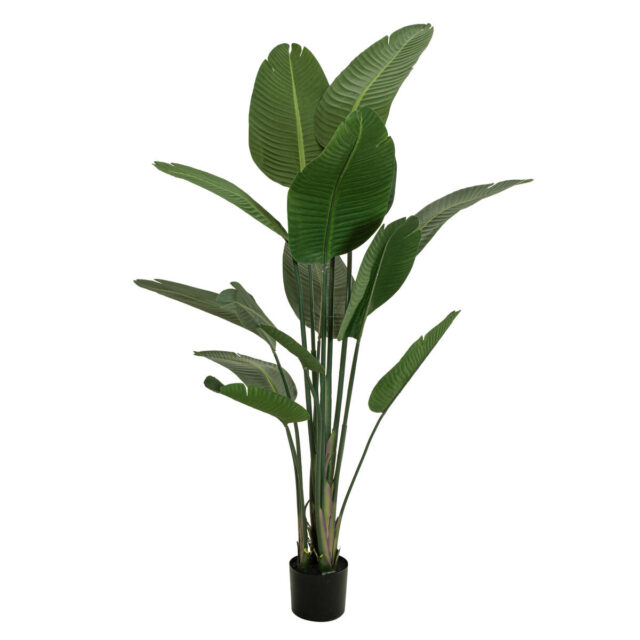 Tummanvihreä strelitzia-tekokasvi ruukussa, 170 cm