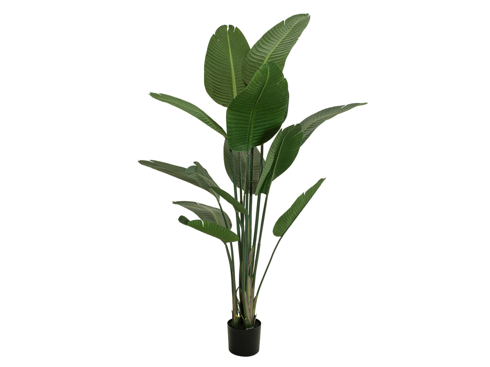 Tummanvihreä strelitzia-tekokasvi ruukussa, 170 cm