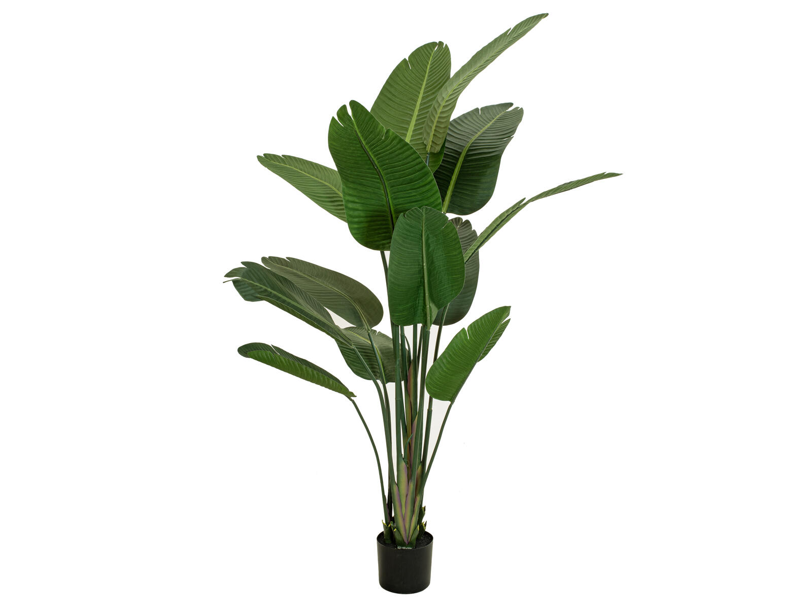 Tummanvihreä strelitzia-tekokasvi ruukussa, 170 cm