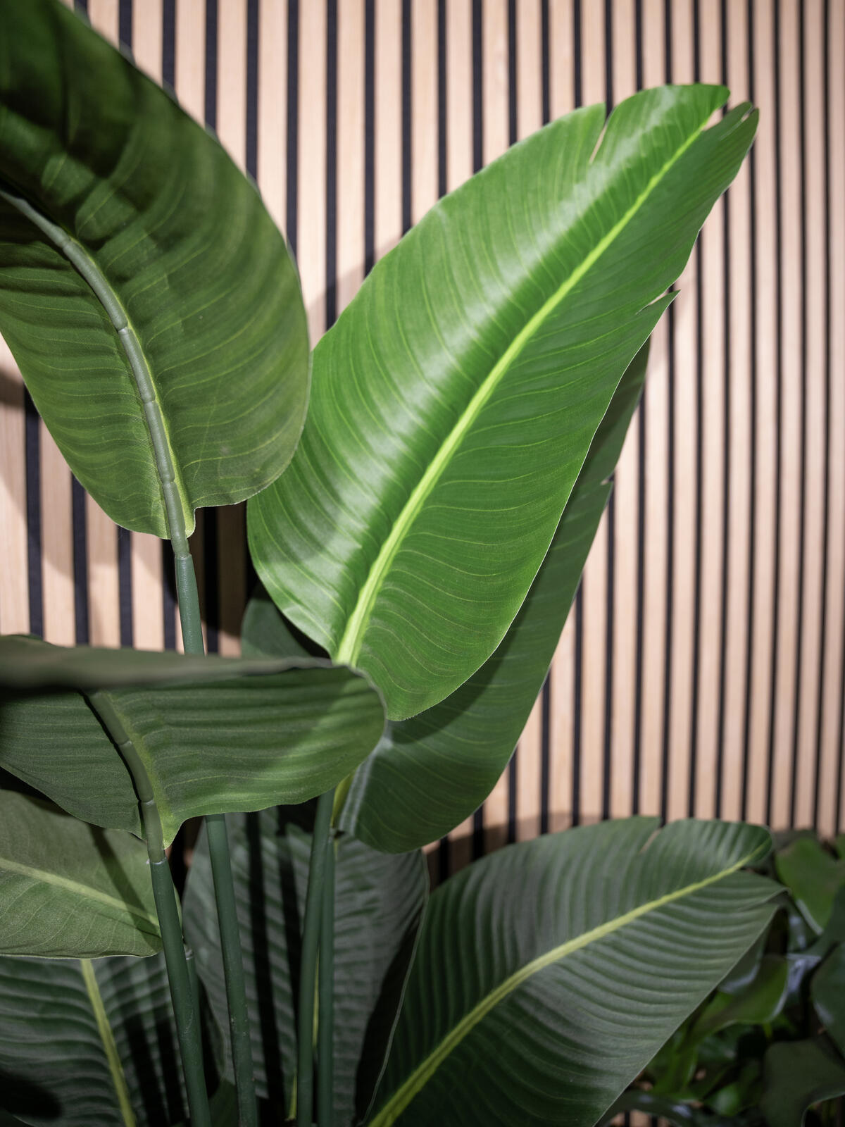 Tummanvihreä strelitzia-tekokasvi ruukussa, 170 cm