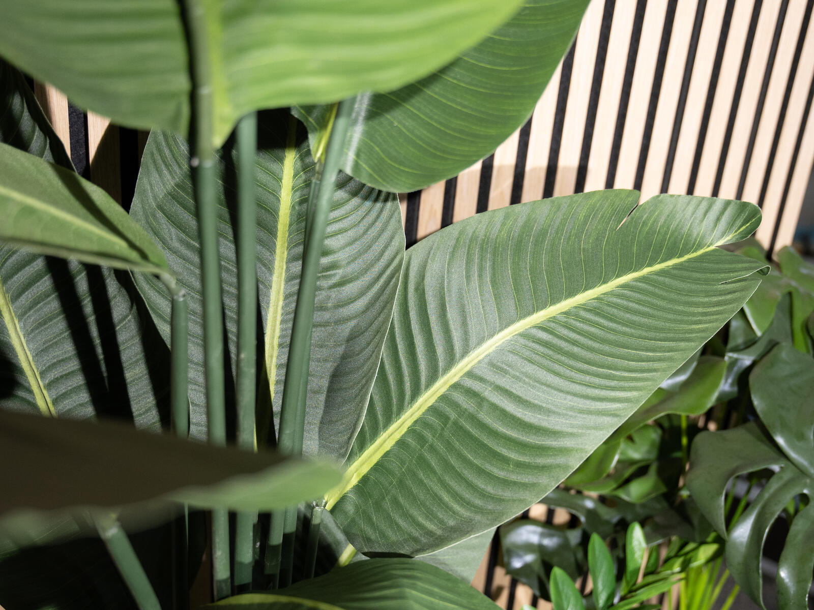 Tummanvihreä strelitzia-tekokasvi ruukussa, 170 cm