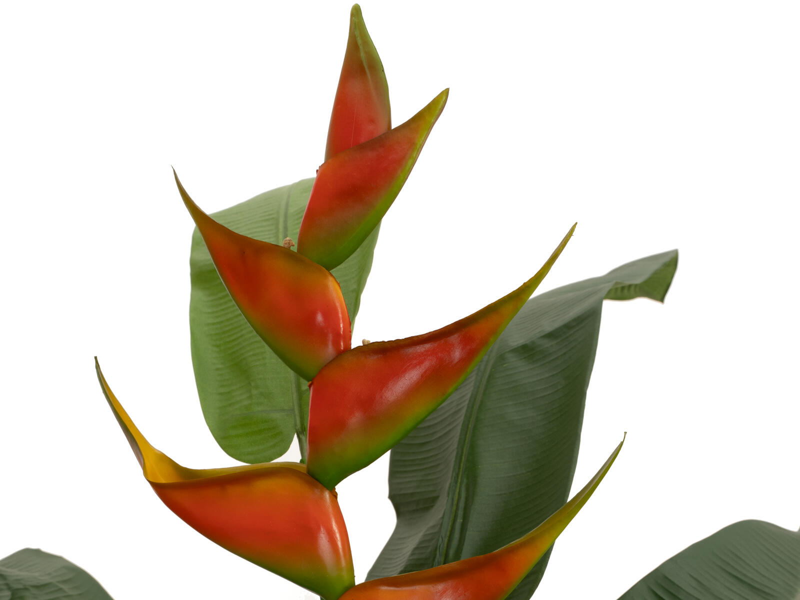 190 cm korkea helikonia-tekokasvi oransseilla kukilla ja vihreillä lehdillä
