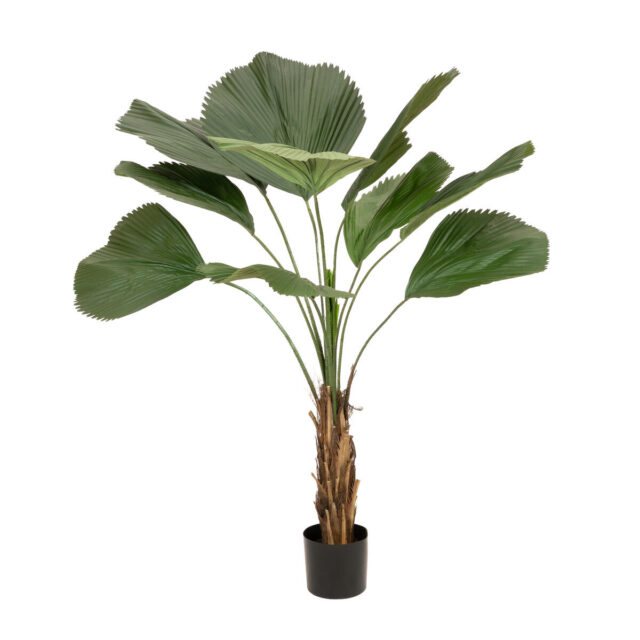 Tummanvihreä palmuvehka-tekopalmu viuhkamaisilla lehdillä, 140 cm