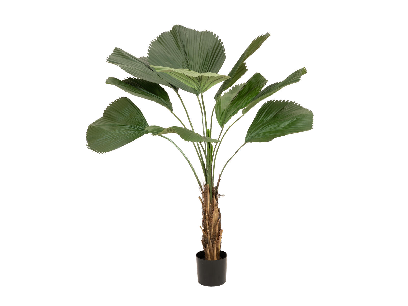 Tummanvihreä palmuvehka-tekopalmu viuhkamaisilla lehdillä, 140 cm