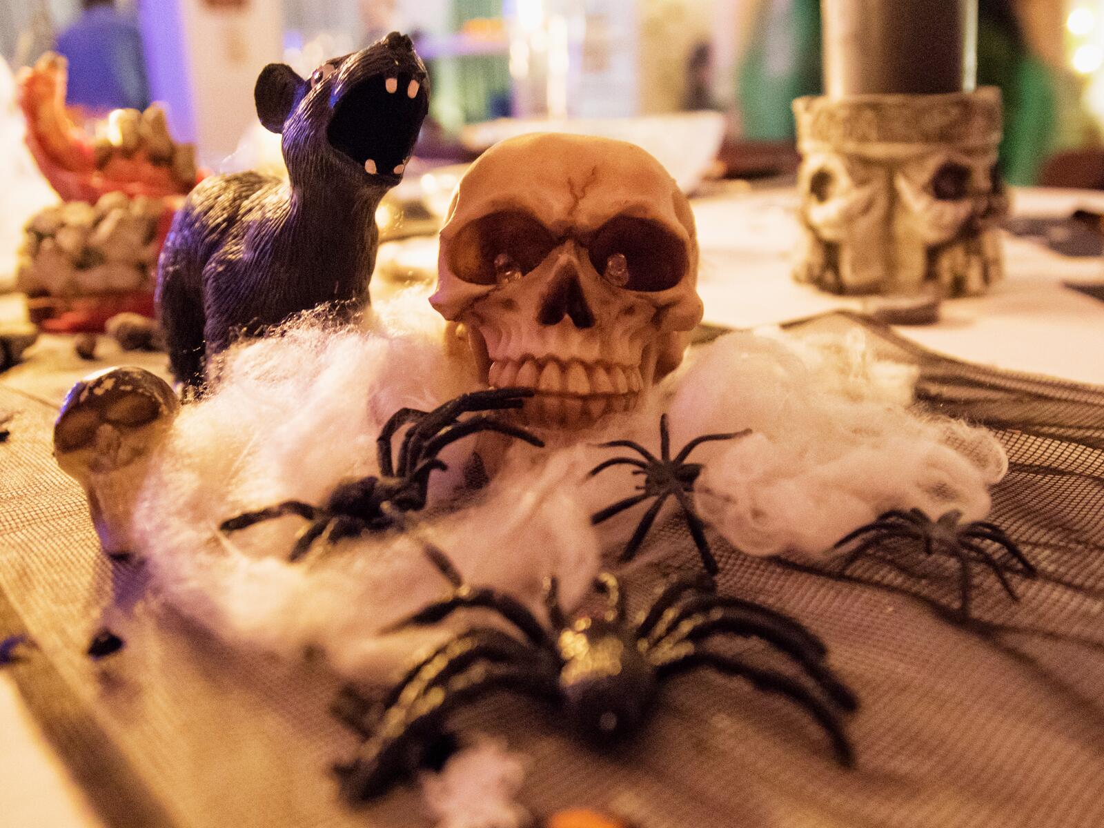 Valkoinen hämähäkinverkko 50 g Halloween-koristeluun