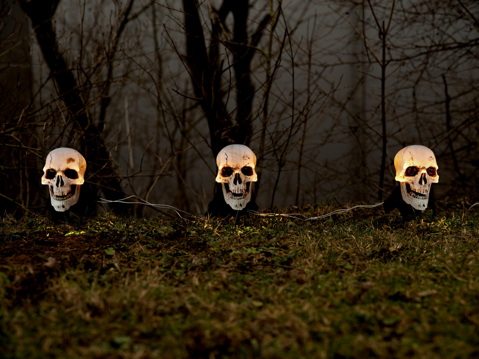 Kolme valaistua Halloween-pääkalloa maapiikeillä