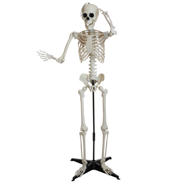 Luonnonvalkoinen seisova Halloween-luuranko mustalla jalustalla