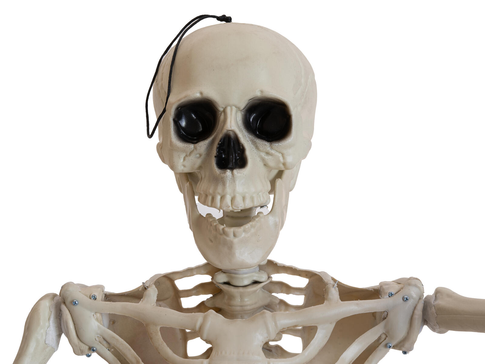 Luonnonvalkoinen seisova Halloween-luuranko mustalla jalustalla