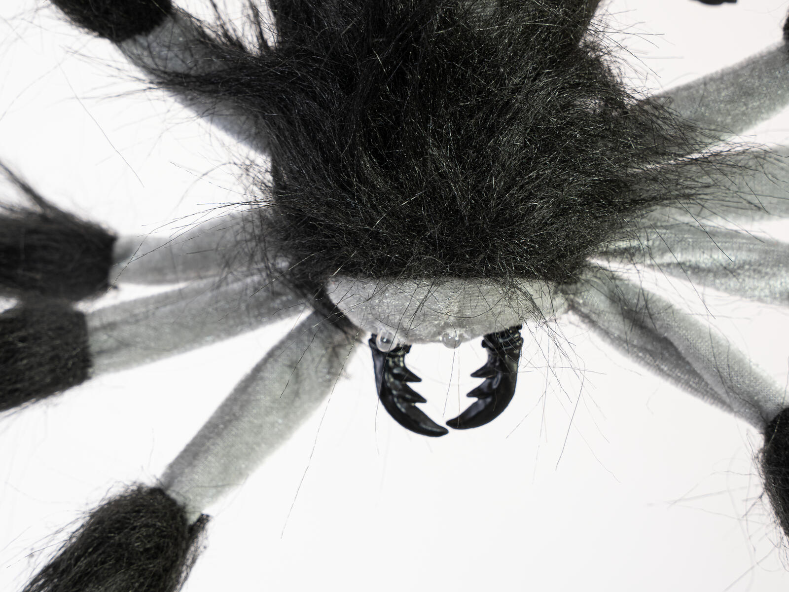 Riippuva harmaa ja musta Halloween-koristehämähäkki kalloyksityiskohdalla