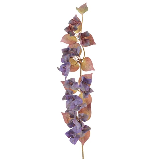 Violetti bougainvillean tekokukkaoksa