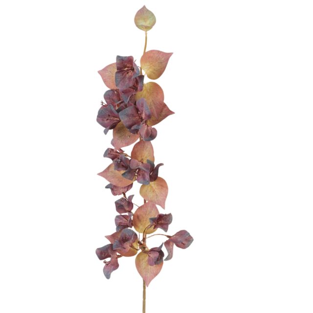 Violetti bougainvillea-tekokukkaoksa