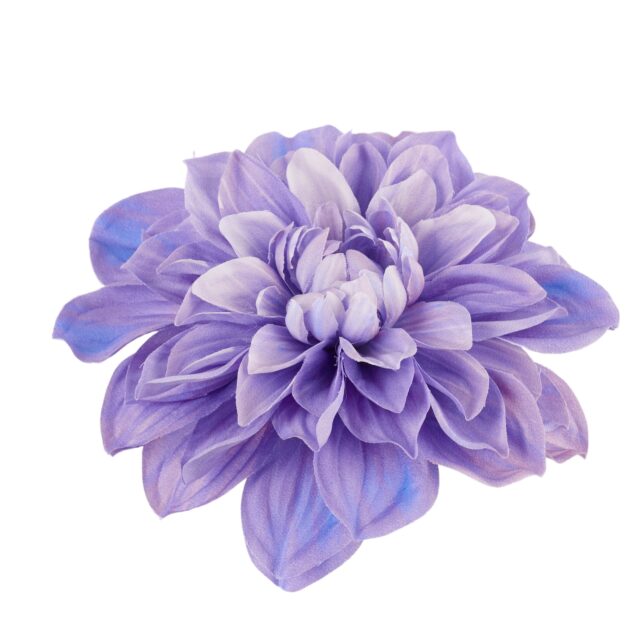Violetti tekokukkadaalian kukkapää