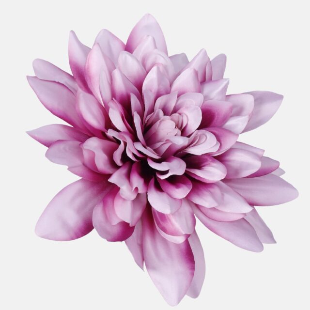 Violetti tekokukkadaalian kukkapää